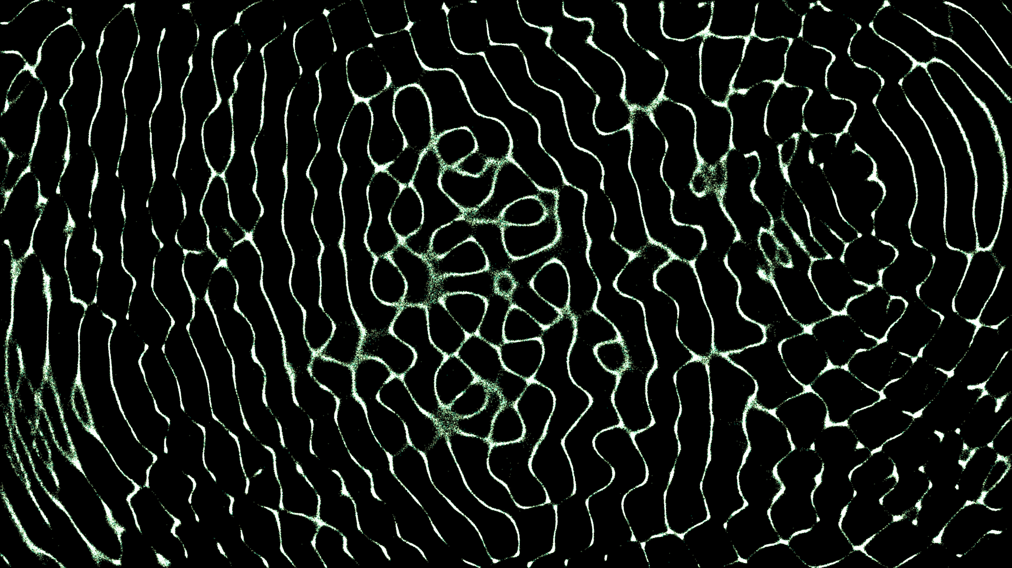 Octant